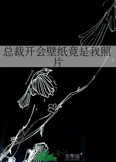 总裁开会壁纸竟是我照片