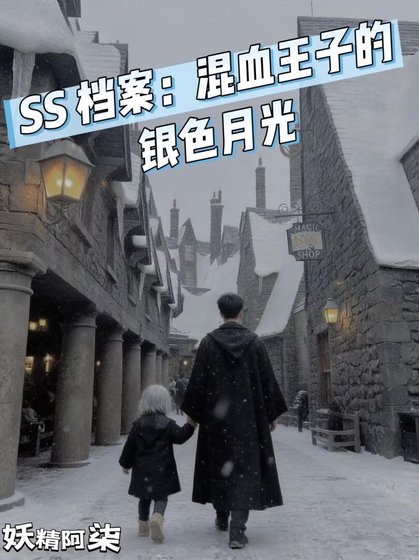 SS檔案:混血王子的銀色月光