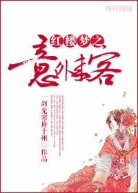 (BG/红楼梦同人)红楼梦之意外来客