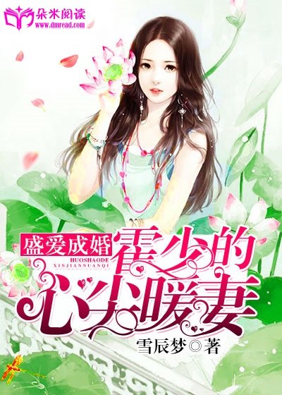 盛爱成婚:霍少的心尖暖妻