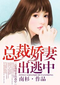 总裁诀妻出逃中