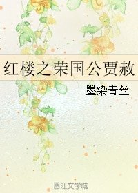 (BL/红楼同人)红楼之荣国公贾赦